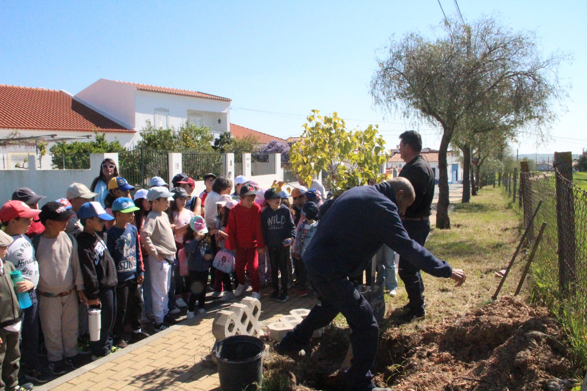 Dia Mundial da Árvore