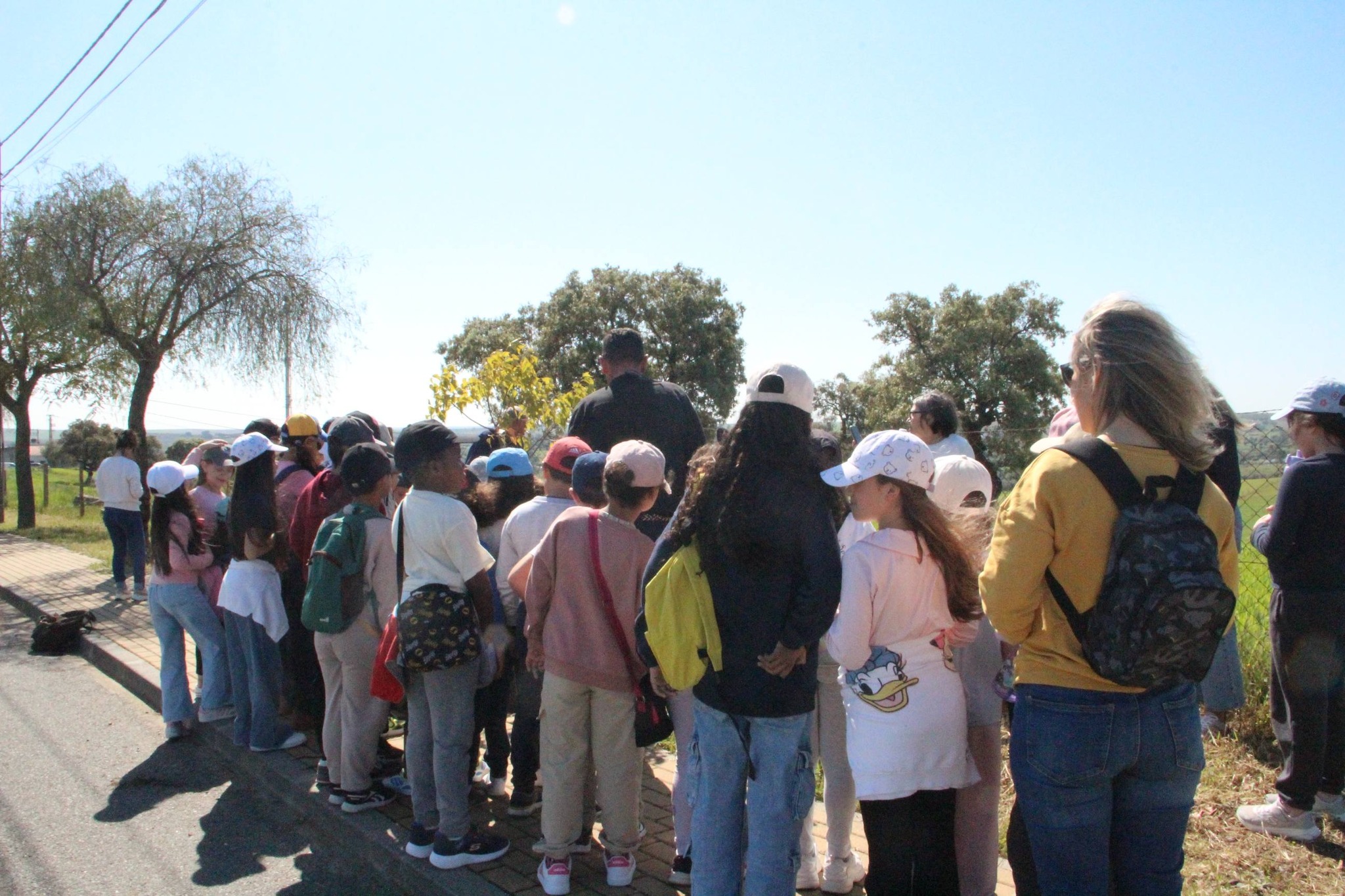 Dia Mundial da Árvore
