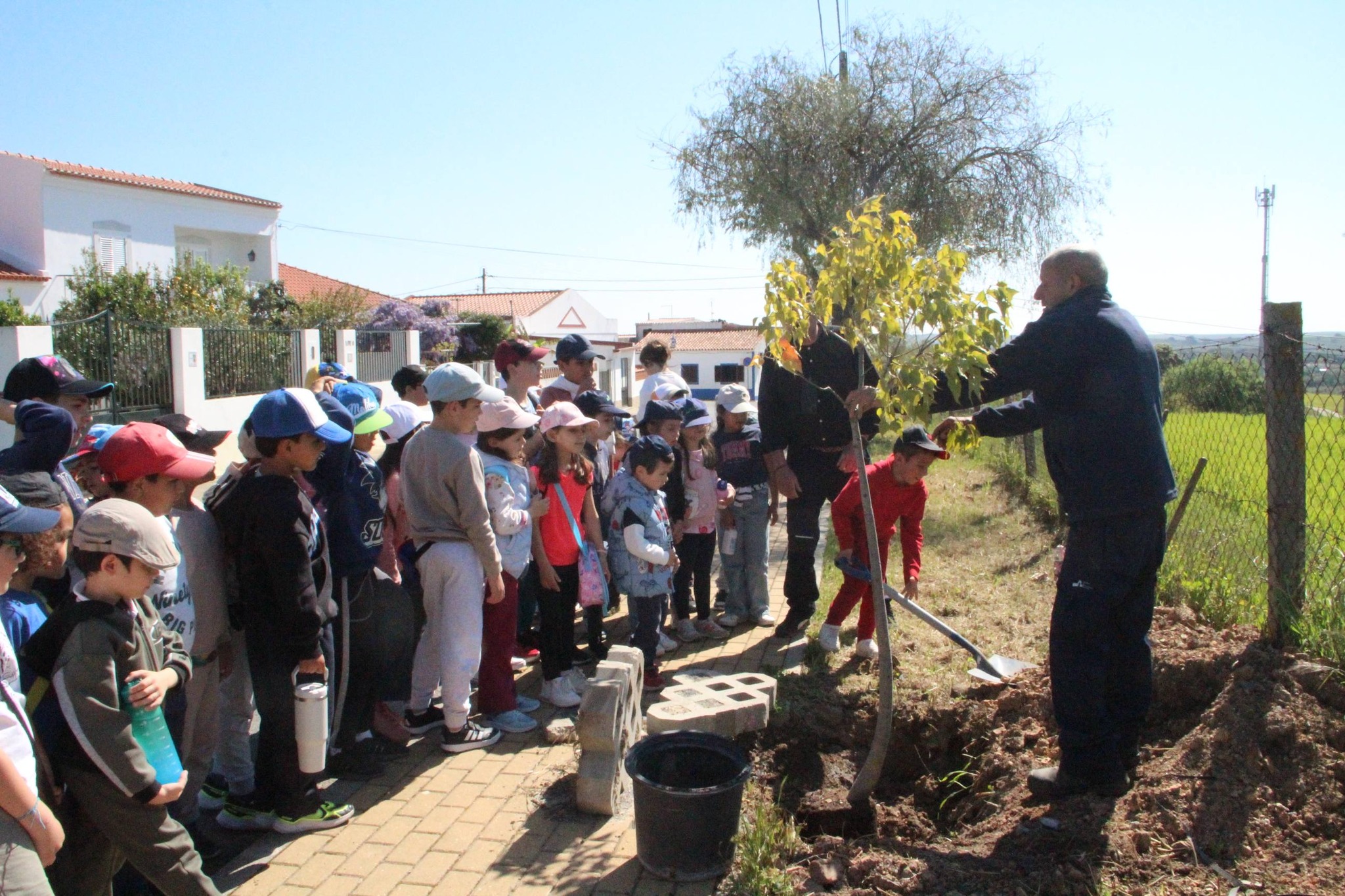 Dia Mundial da Árvore