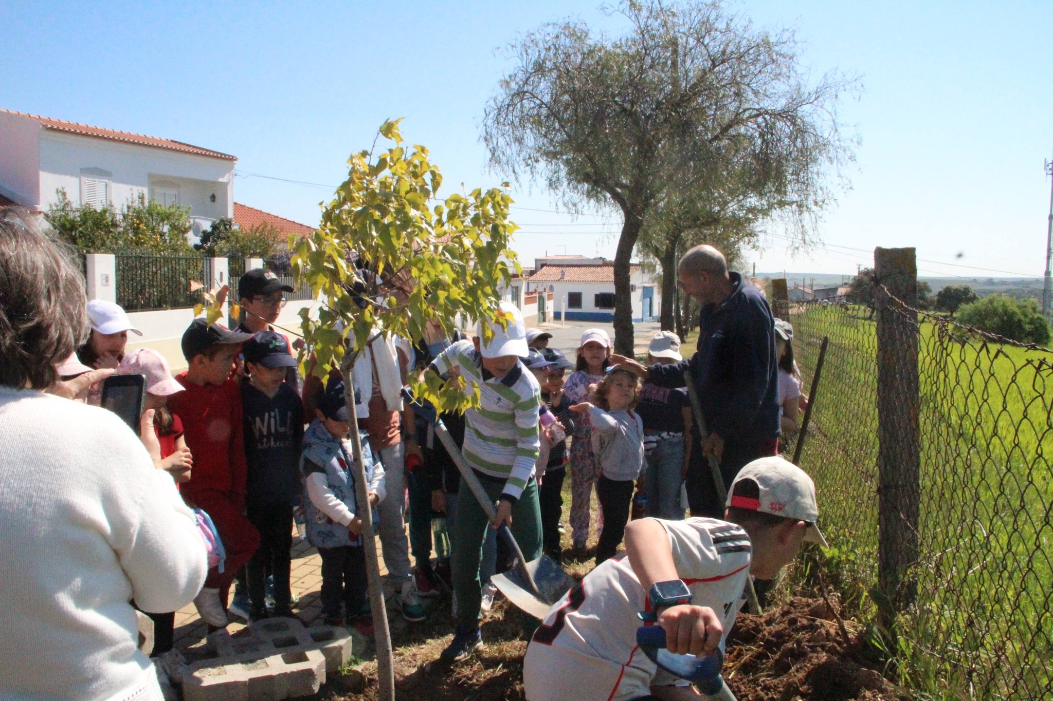 Dia Mundial da Árvore